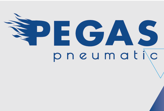 Фильтр Pegas  PG-4000-04 с регулятором давления и манометром вход-выход быстросъем резьба 1/2